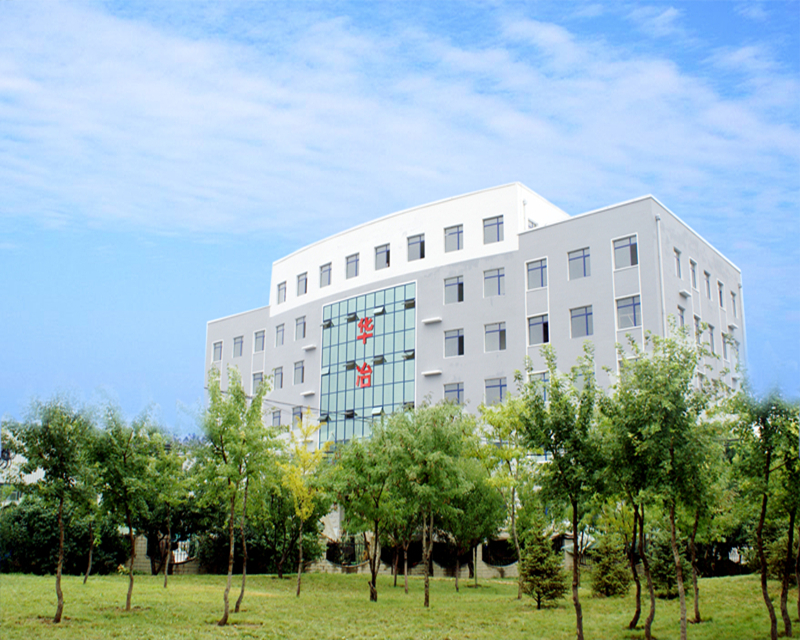 Overall View of Huaye Qianshan Plant